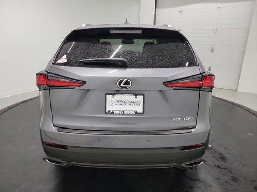 Gray Pearl 2019 Lexus NX 300 Base