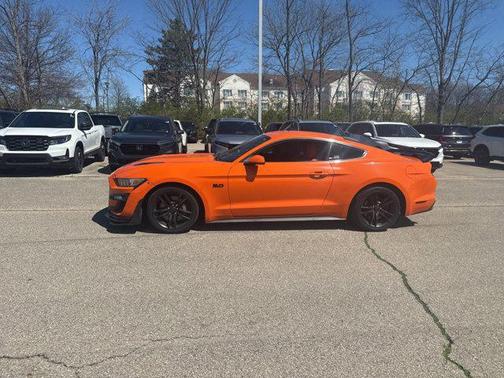Magnetic 2017 Ford Mustang GT
