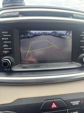 Polished Walnut 2018 Kia Sorento EX