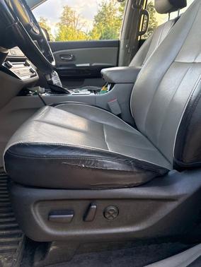 Panthera Metal 2019 Kia Sedona EX