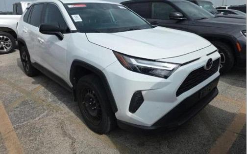 Ice Cap 2024 Toyota RAV4 LE