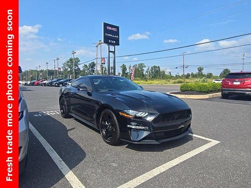 2023 Ford Mustang EcoBoost