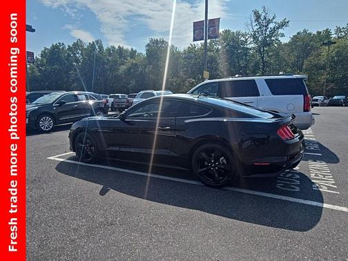 2023 Ford Mustang EcoBoost