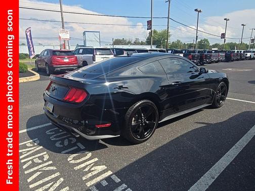 2023 Ford Mustang EcoBoost
