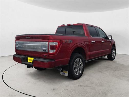 2021 Ford F-150 Platinum