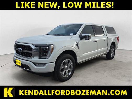 2022 Ford F-150 Platinum