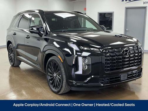 Abyss Black Pearl 2025 Hyundai PALISADE Calligraphy Night Edition