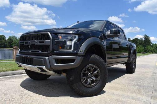 Agate Black Metallic 2019 Ford F-150 Raptor