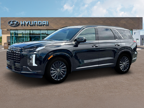Abyss Black Pearl 2025 Hyundai PALISADE Calligraphy Night Edition