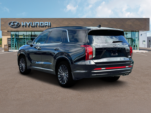 Abyss Black Pearl 2025 Hyundai PALISADE Calligraphy Night Edition
