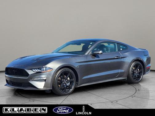Magnetic Metallic 2019 Ford Mustang EcoBoost