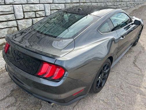 Magnetic Metallic 2019 Ford Mustang EcoBoost