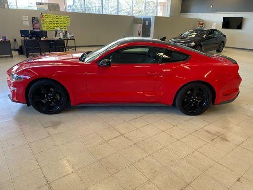2021 Ford Mustang EcoBoost