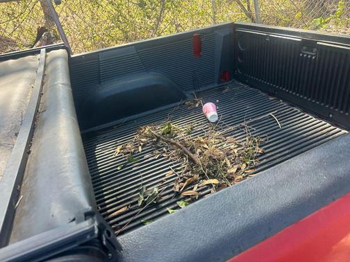 2006 Chevrolet Silverado 1500 W/T