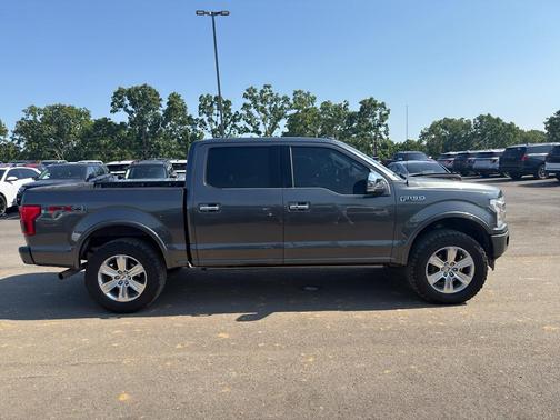 Magnetic Metallic 2019 Ford F-150 Platinum