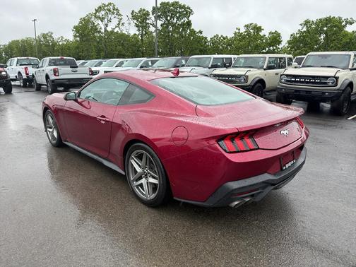 Molten 2025 Ford Mustang EcoBoost