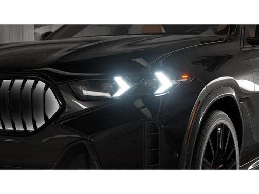 Black 2027 BMW X6 xDrive40i
