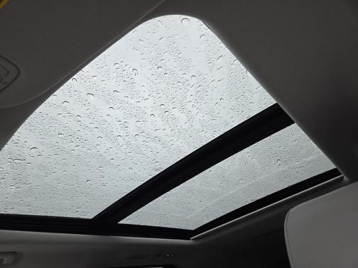 Agate Black 2025 Ford Expedition Max Active