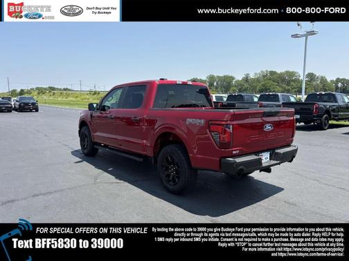 2025 Ford F-150 STX