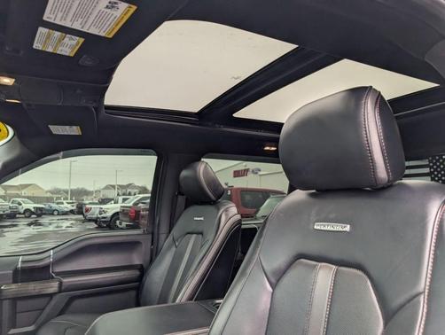 Magnetic 2019 Ford F-150 Platinum