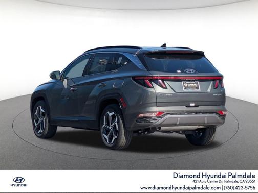 Amazon Gray 2024 Hyundai TUCSON Hybrid Limited