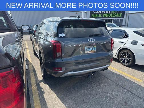 Rainforest 2021 Hyundai PALISADE Limited