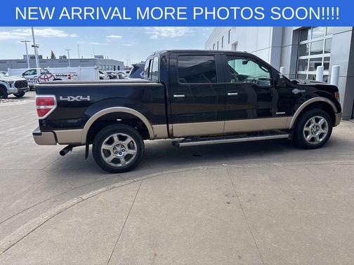 Brown Metallic 2013 Ford F-150