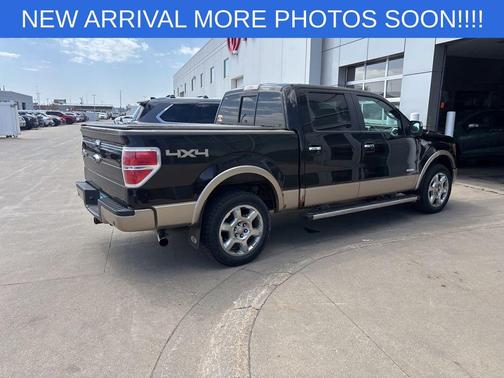 Brown Metallic 2013 Ford F-150