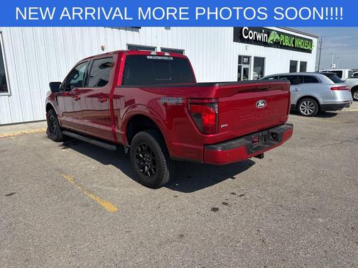 Rapid Red Metallic Tinted Clearcoat 2024 Ford F-150 XLT