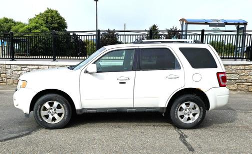 White Suede 2011 Ford Escape Limited