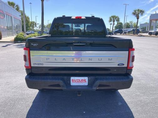 Brown (Kodiak Brown) 2021 Ford F-150 Platinum