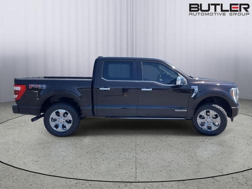 Brown (Kodiak Brown) 2021 Ford F-150 Platinum