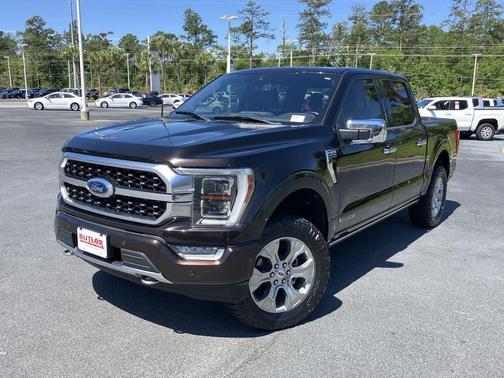 Brown (Kodiak Brown) 2021 Ford F-150 Platinum