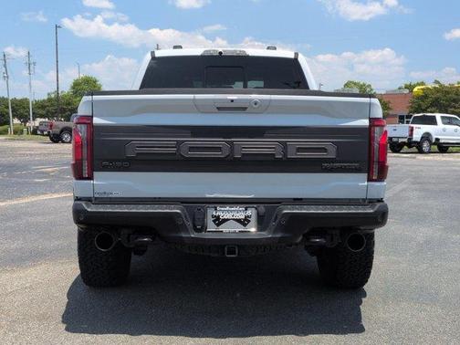 Avalanche 2024 Ford F-150 Raptor