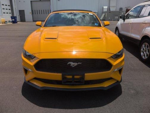 Orange 2019 Ford Mustang EcoBoost Premium