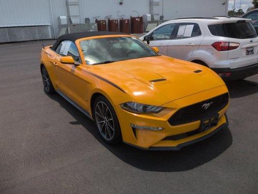Orange 2019 Ford Mustang EcoBoost Premium