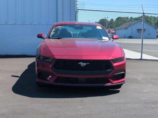 Magenta 2025 Ford Mustang EcoBoost