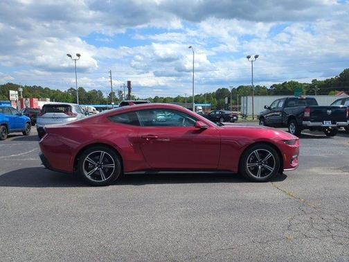 Magenta 2025 Ford Mustang EcoBoost