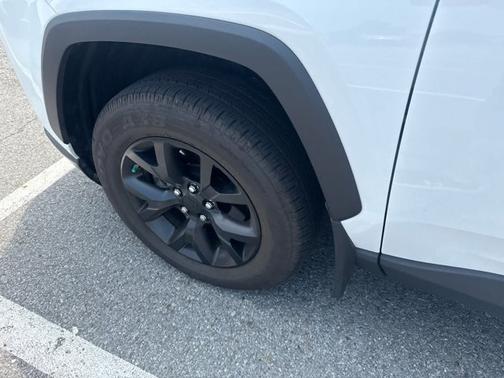 Ice Cap 2025 Toyota RAV4 LE