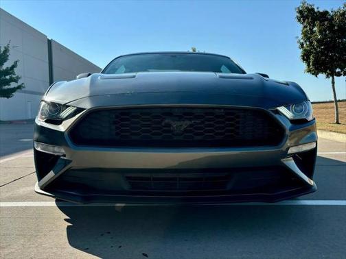 2020 Ford Mustang EcoBoost