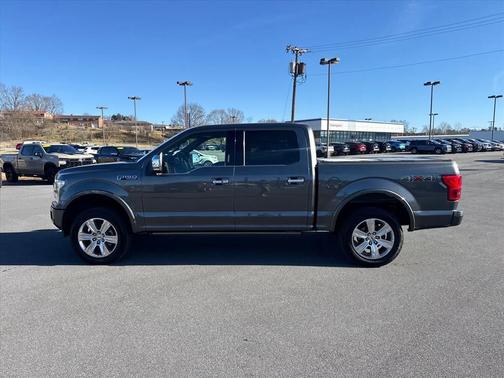 2020 Ford F-150 Platinum