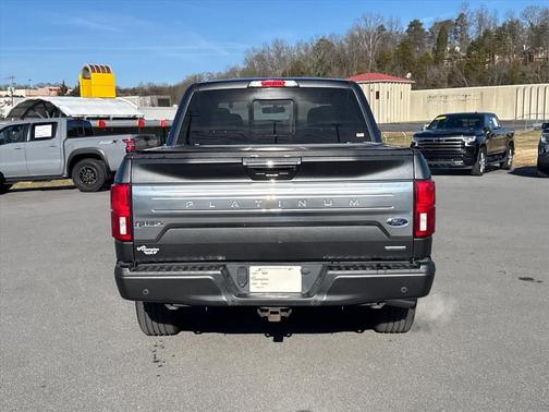 2020 Ford F-150 Platinum