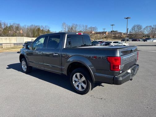 2020 Ford F-150 Platinum