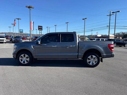 2021 Ford F-150 Platinum