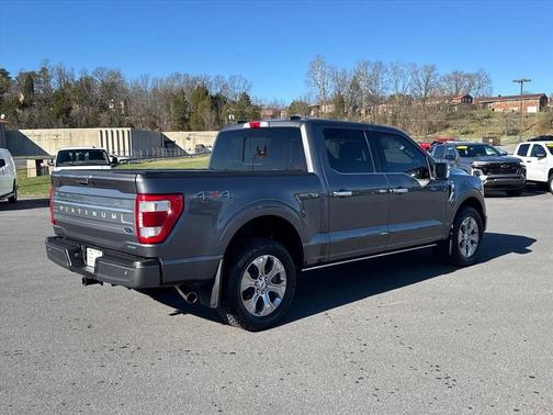 2021 Ford F-150 Platinum