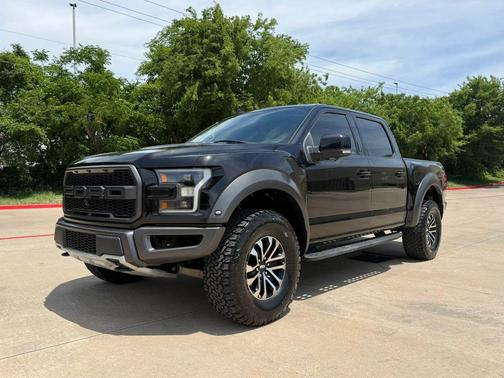 Agate Black Metallic 2019 Ford F-150 Raptor