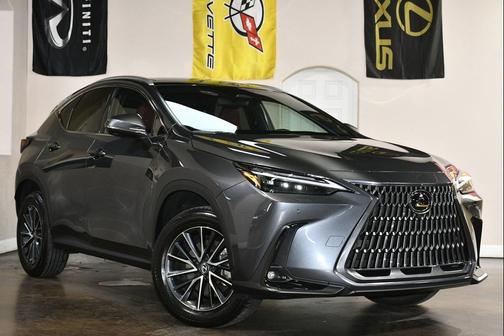 Cloudburst Gray 2024 Lexus NX 350 Luxury