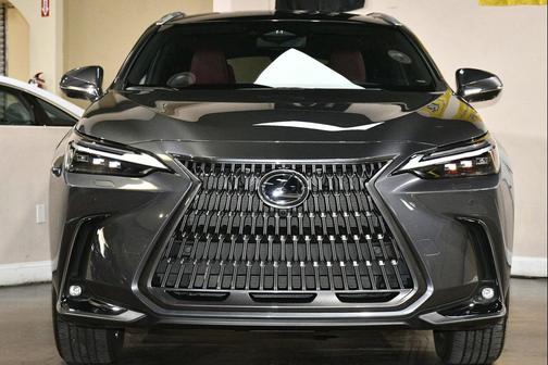 Cloudburst Gray 2024 Lexus NX 350 Luxury