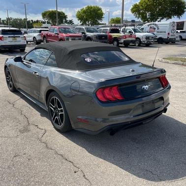 Magnetic Metallic 2019 Ford Mustang EcoBoost Premium