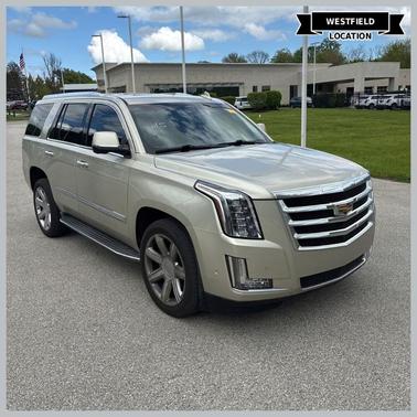 Silver Coast Metallic 2017 Cadillac Escalade Luxury